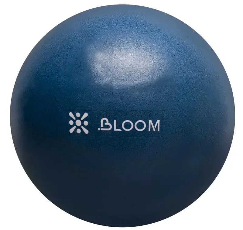 Мяч LiveUp LB7000 для пилатеса 30 см от магазина Супер Спорт