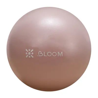 картинка Мяч LiveUp LB7000 для пилатеса 20 см 